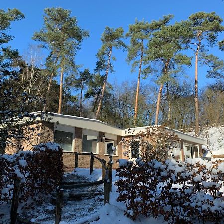 Het Fazantenbosje Villa Dalfsen Exteriör bild