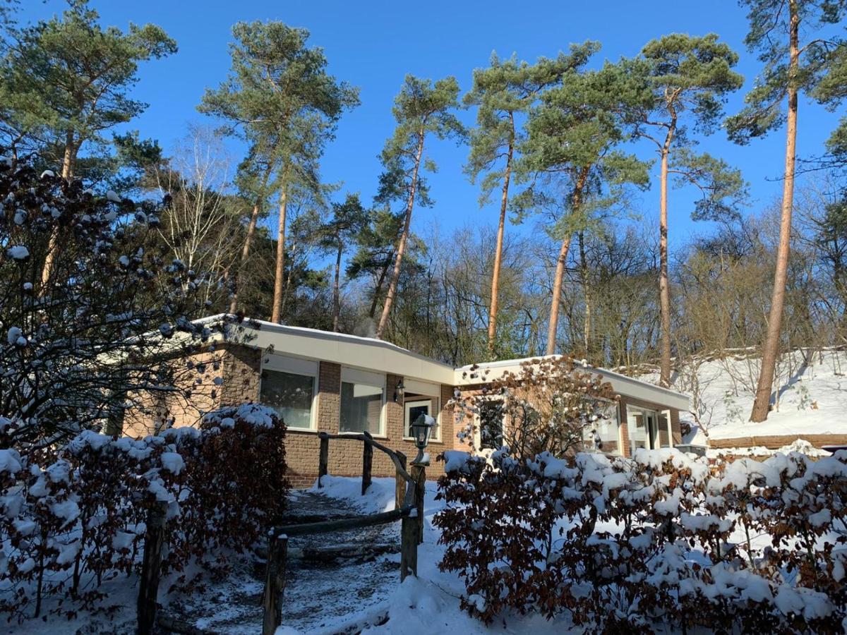 Het Fazantenbosje Villa Dalfsen Exteriör bild
