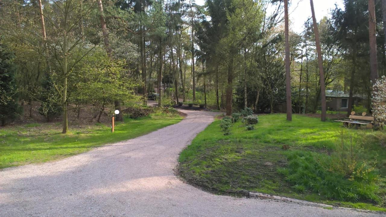 Het Fazantenbosje Villa Dalfsen Exteriör bild