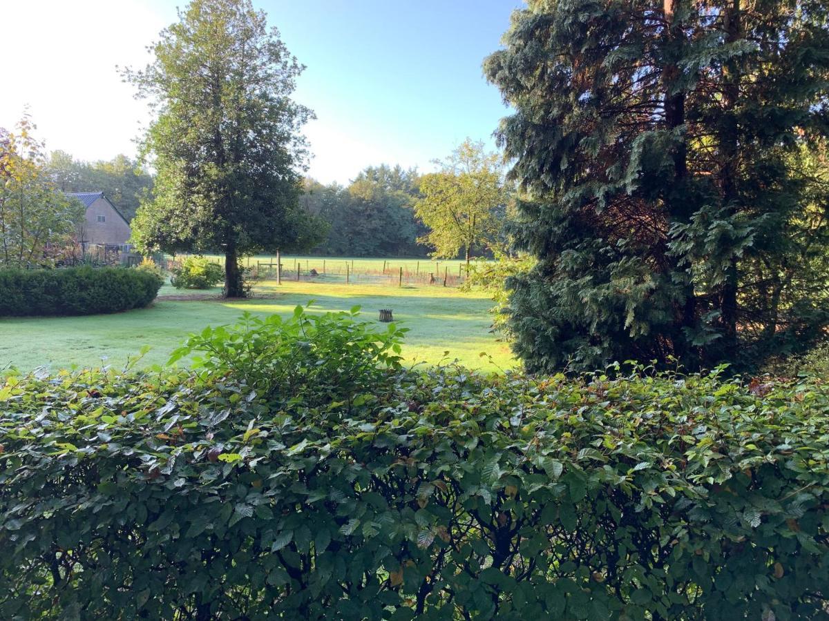 Het Fazantenbosje Villa Dalfsen Exteriör bild