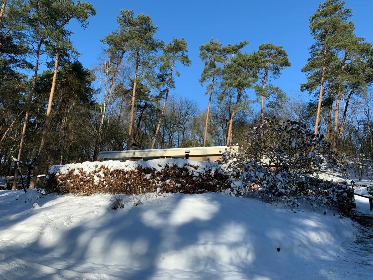 Het Fazantenbosje Villa Dalfsen Exteriör bild