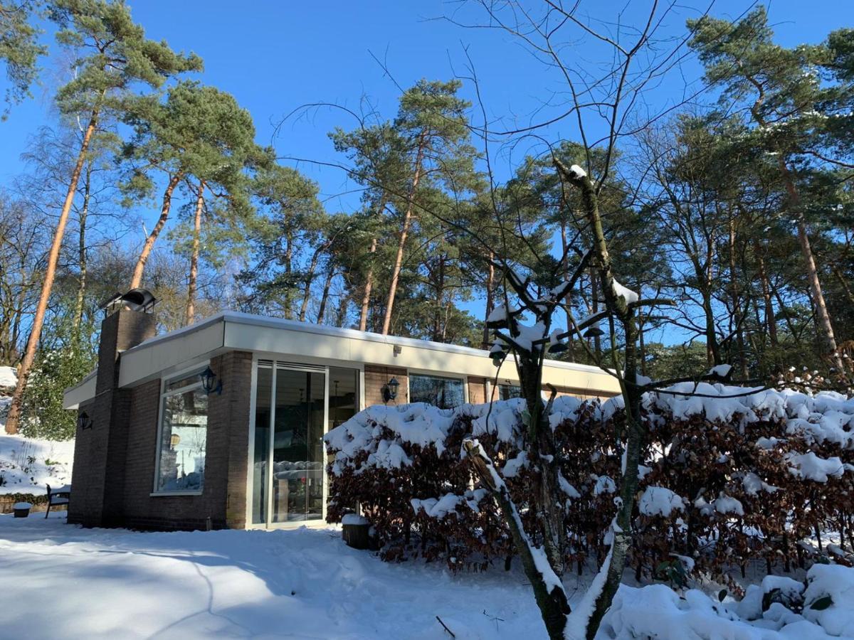 Het Fazantenbosje Villa Dalfsen Exteriör bild