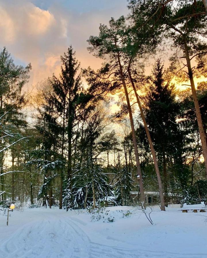 Het Fazantenbosje Villa Dalfsen Exteriör bild