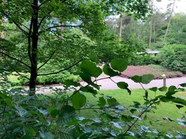 Het Fazantenbosje Villa Dalfsen Exteriör bild