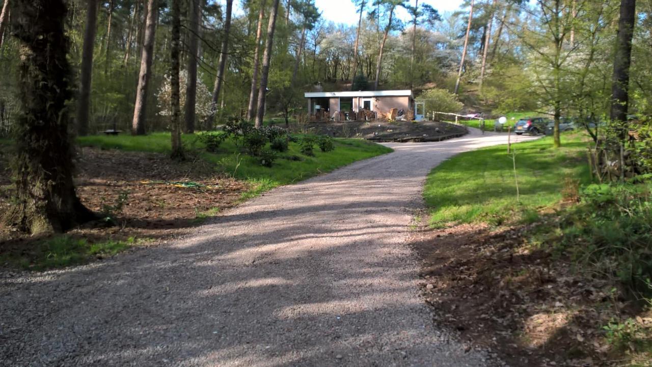Het Fazantenbosje Villa Dalfsen Exteriör bild