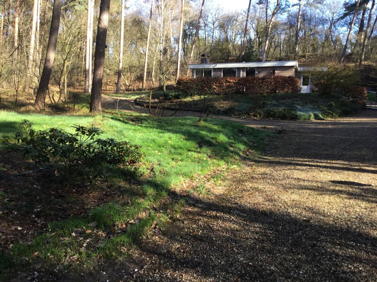 Het Fazantenbosje Villa Dalfsen Exteriör bild