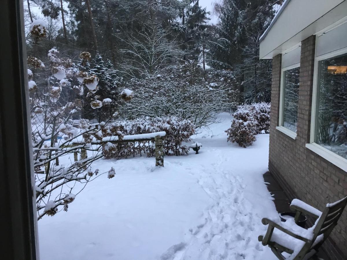 Het Fazantenbosje Villa Dalfsen Exteriör bild