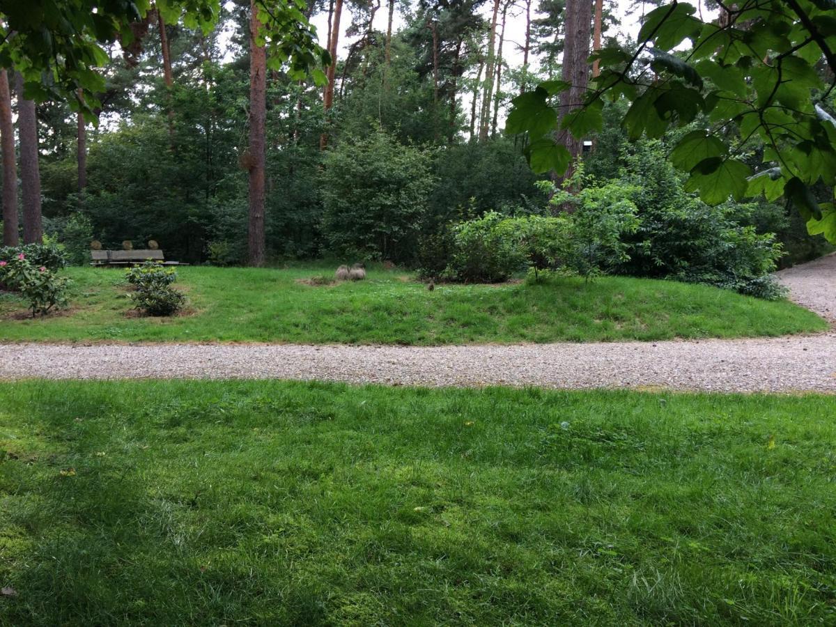 Het Fazantenbosje Villa Dalfsen Exteriör bild